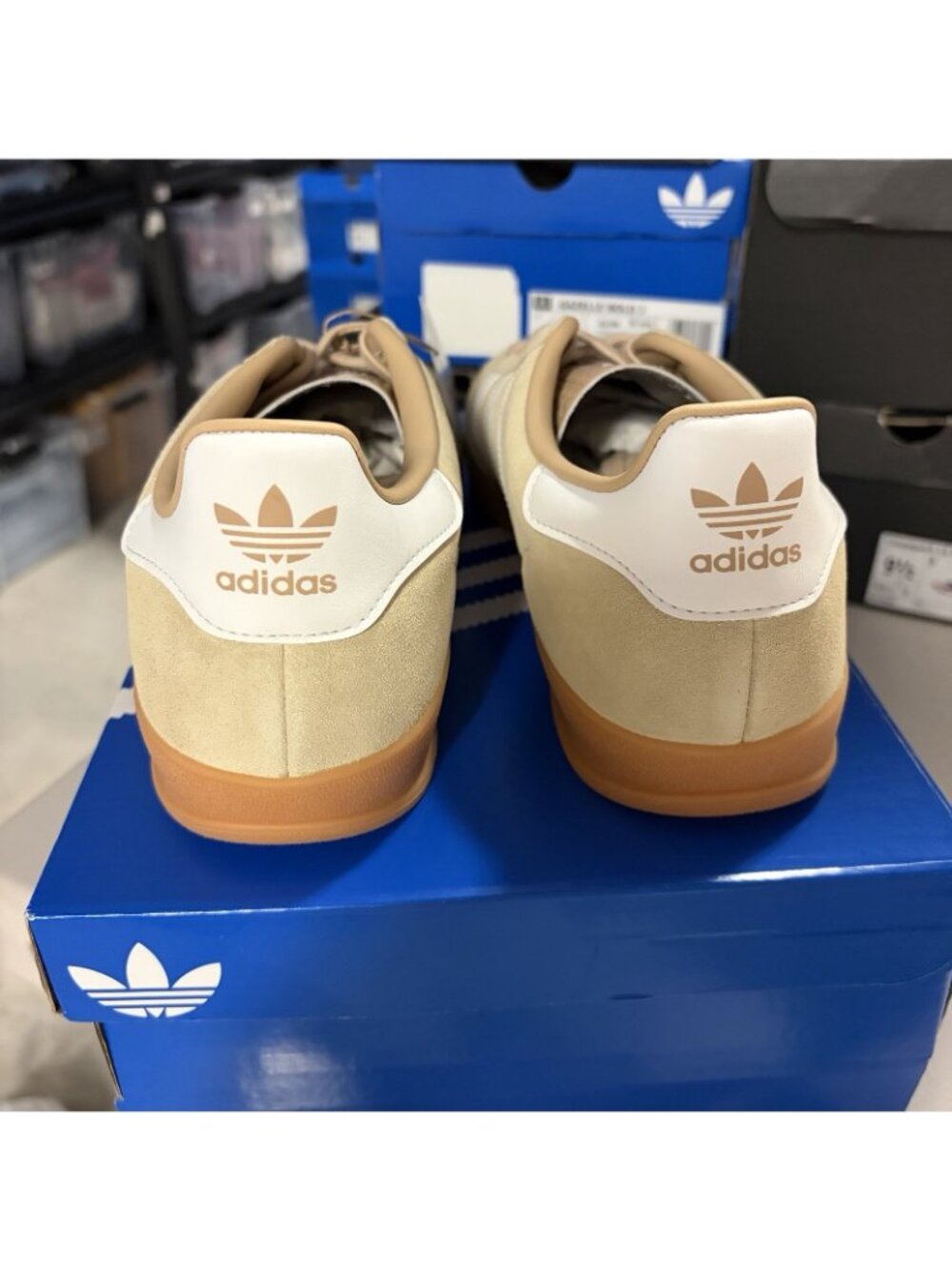 Size 11- Adidas Gazelle Indoor Men Magic Beige Core White Gum - HQ5154 - Picture 4 of 6